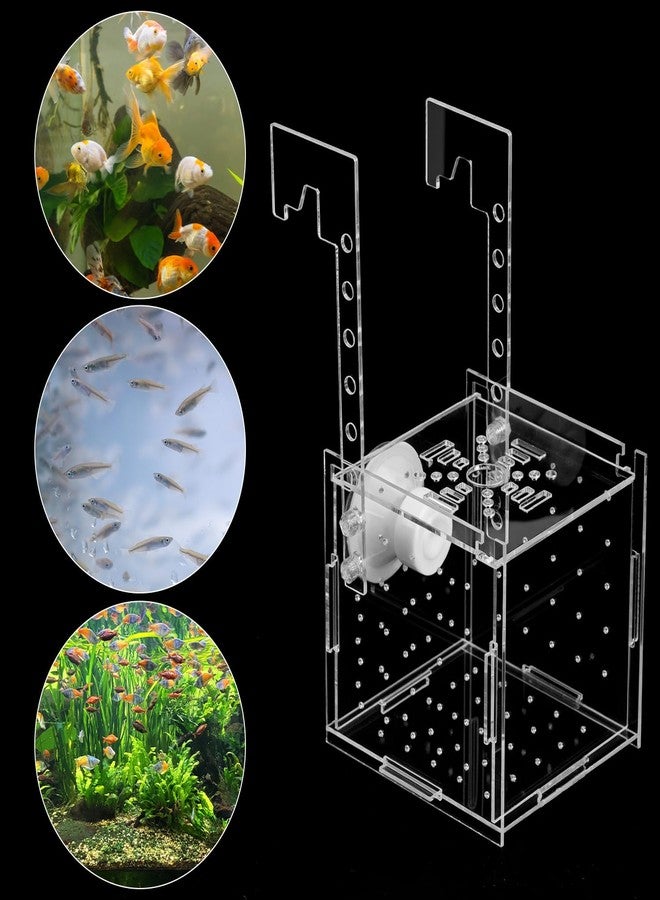 QWORK Acrylic Fish Breeding Isolation Box - Transparent Aquarium Incubator for Small Fishes Shrimp Clownfish Guppy, 3.9-inch - Image 5